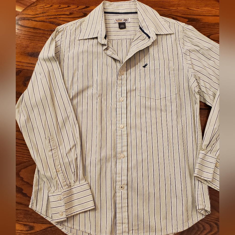 Mint and Navy Pin Stripe Men's Long Sleeve Button Shirt Size Large Urban Up